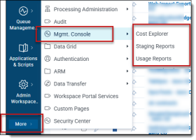 More button showing Management Console and its associated reports