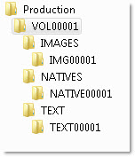 Export folder options