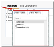Filter Rules and Filter Values dialog box