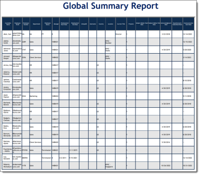 The Global Summary Report .pdf file.