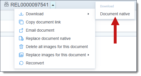 The Document actions menu with the Document native option highlighted.