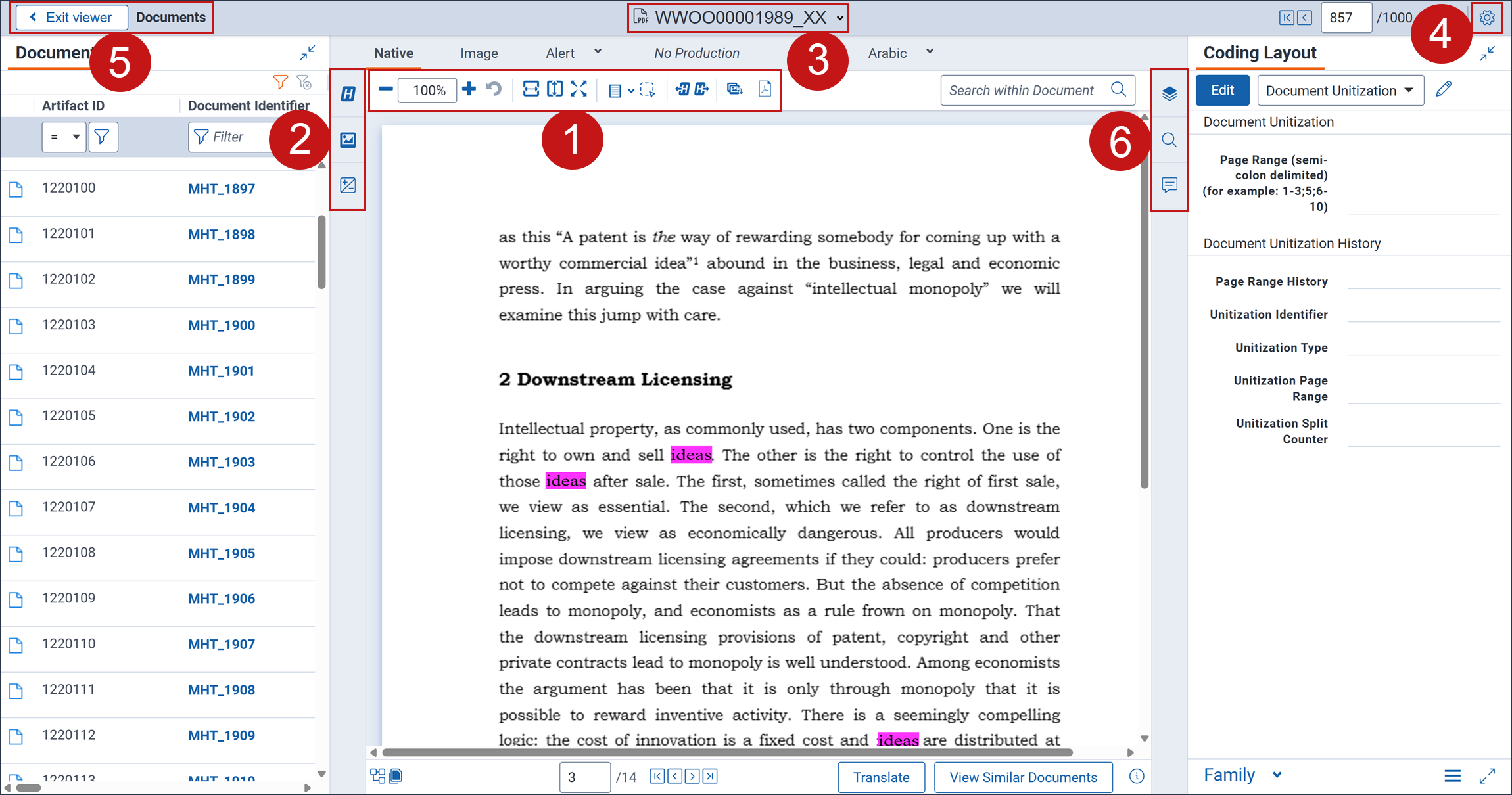 The PDF Viewer is opened with the Documents card and Coding layout expanded.