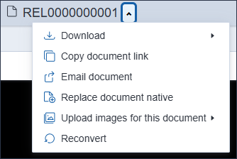 The Document actions menu expanded.