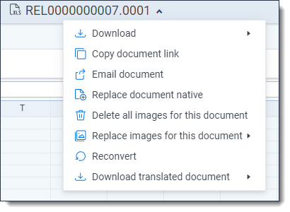 The document actions menu is expanded in the Viewer.