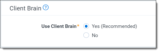 An image of the Client Brain form.