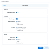 File Settings dialog