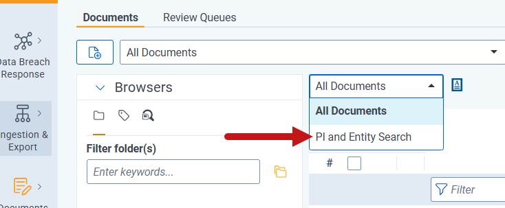 An image of the PI and Entity Search option