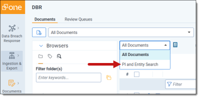 An image of the PI and Entity Search option