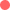 Color swatch 5