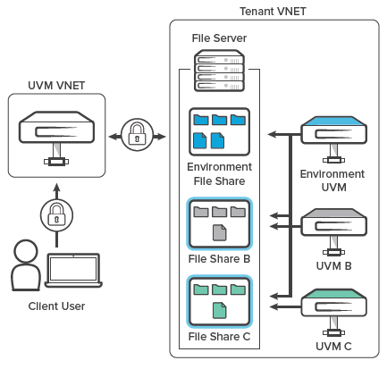 Client Domain infrastructure 