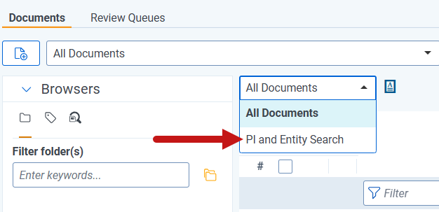 An image of the PI and Entity Search option