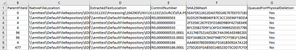Exported columns in Excel