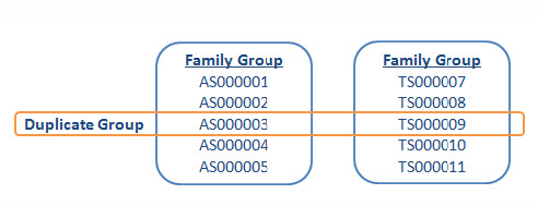 Duplicate family group