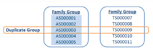 Duplicate family group - responsive