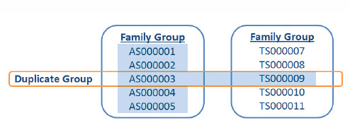 Duplicate family group - responsive with duplicate tag