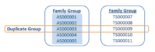 mass editing - responsive with family tag