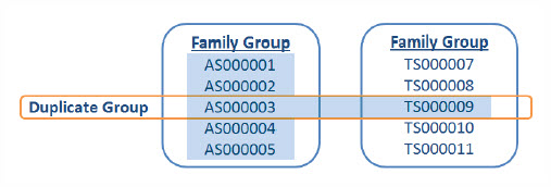mass editing - responsive with family tag plus duplicate
