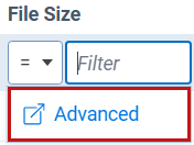 Clicking in a filter text box shows a link you can click for more advanced filtering options.