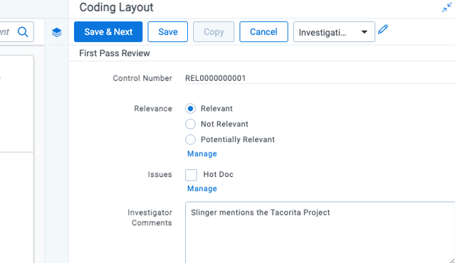 Relevant coding example in coding pane