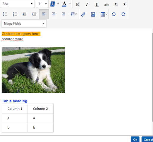rich text editor