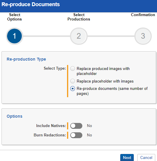 An image of options found in the Re-produce documents module.