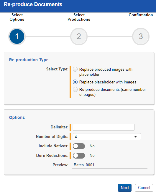 An image of options found in the Re-produce documents module.