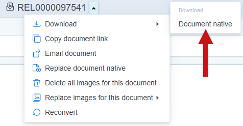 The Document actions menu with the Document native option highlighted.