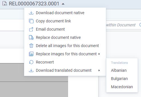 The Download translated document is shown in the Document actions menu.