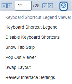 The Viewer settings menu is expanded in the Viewer.
