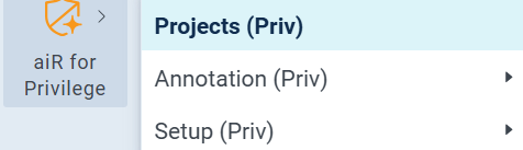 Selecting the Project (Priv) option in the Privilege menu.