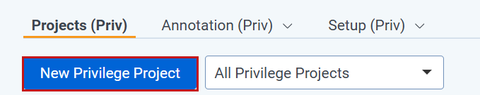 New privilege project button.