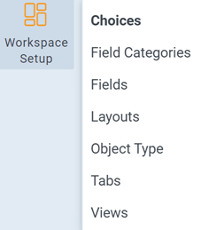 Workspace Setup tab