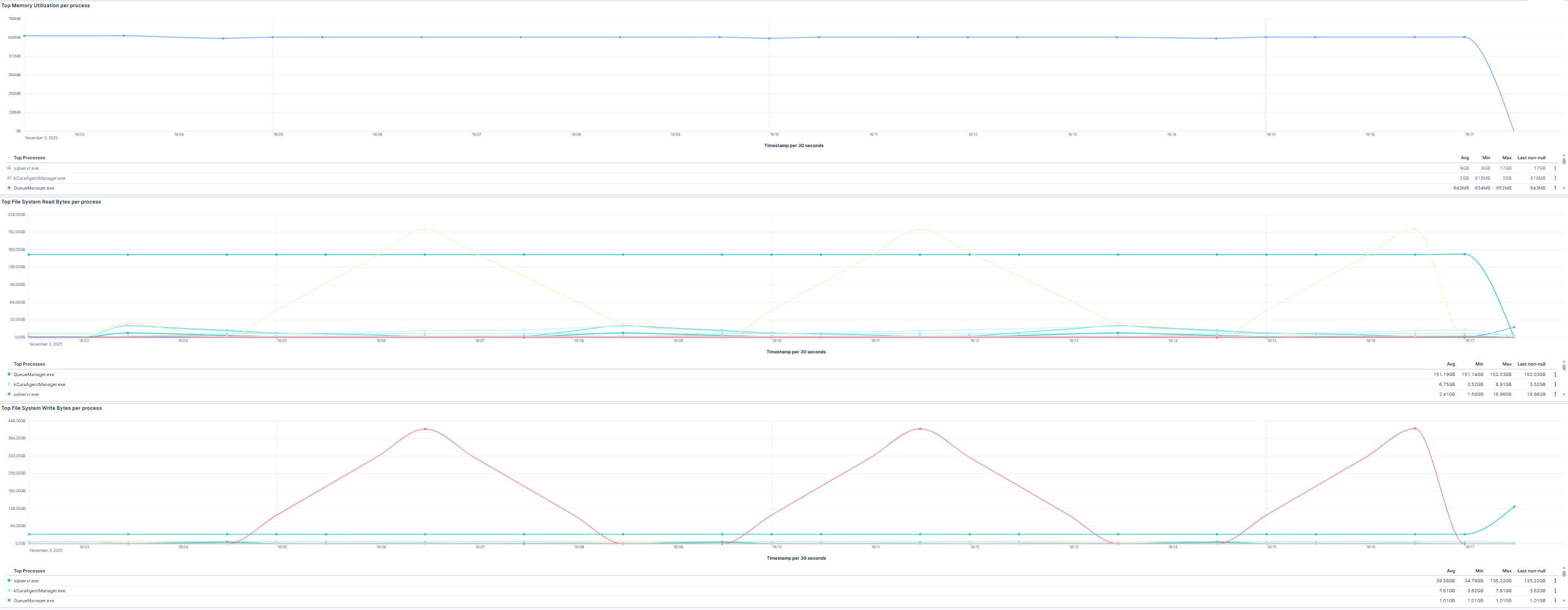 Top Memory and File System I/O Utilization per Process