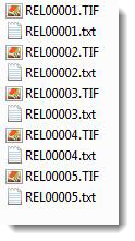 Example of .TIF and .txt files