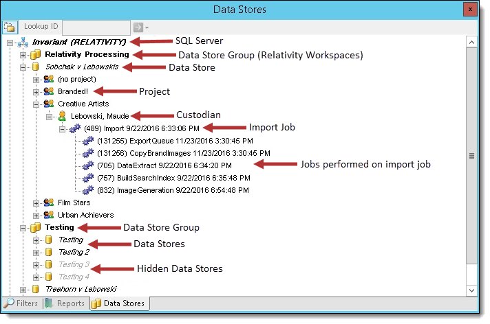 Data Stores window