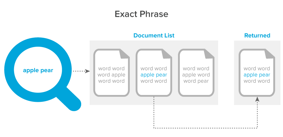 Exact phrase dtSearch diagram