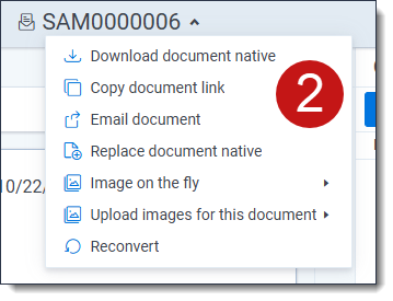 An image showing a drop-down menu of document actions.