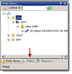 Filters tab in the Data Store window